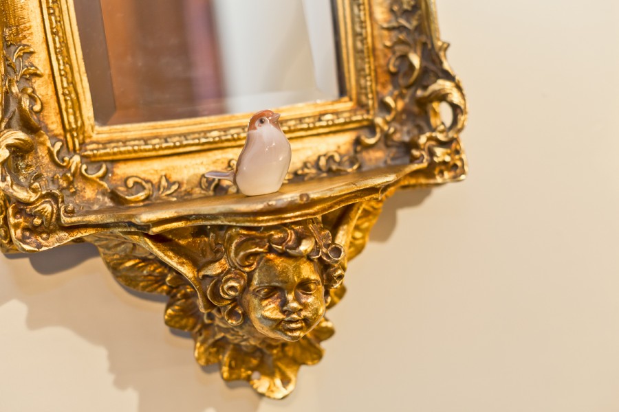 Bird on a mirror